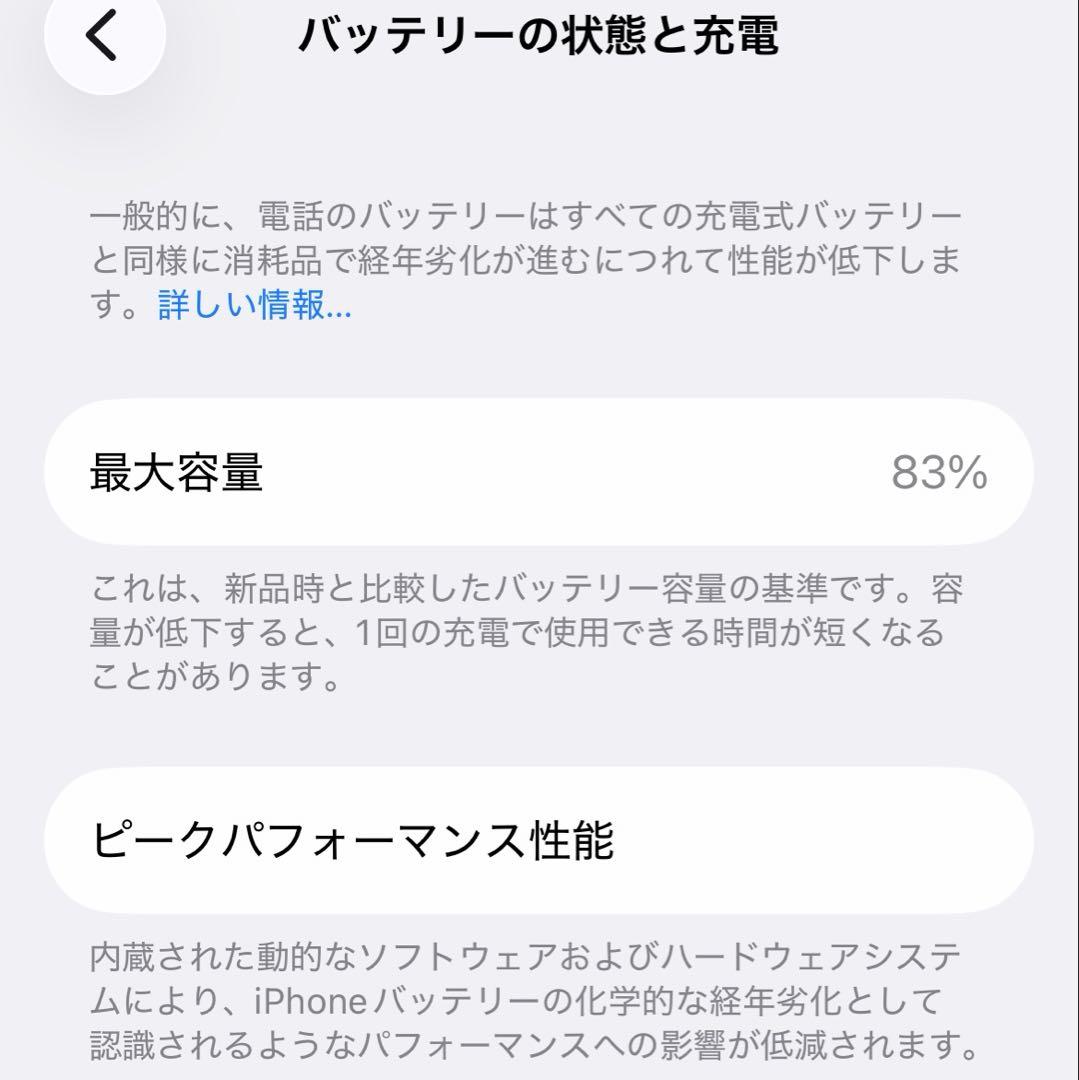 iPhone 12 Pro 256GB 香港版 SIMフリー 物理SIM 2枚