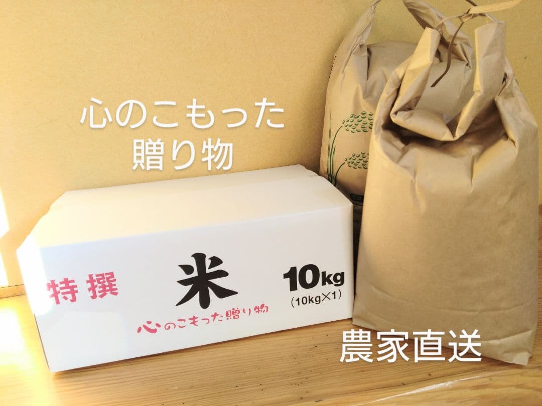 1 令和7年 自然栽培米 亀の尾20kg精米
