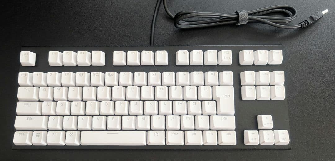 REALFORCE GX1日本語配列 30g キーボード 本体