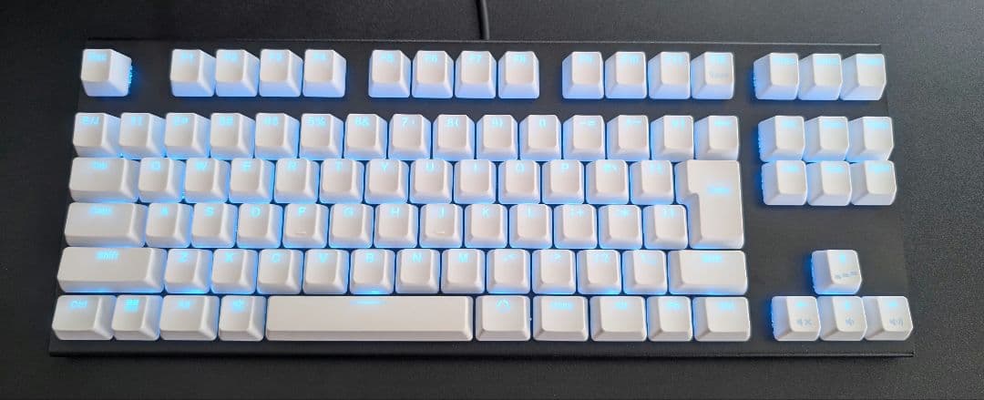 REALFORCE GX1日本語配列 30g キーボード 本体