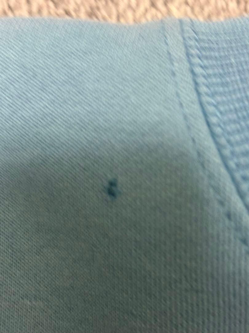 Stussy 水色スウェット