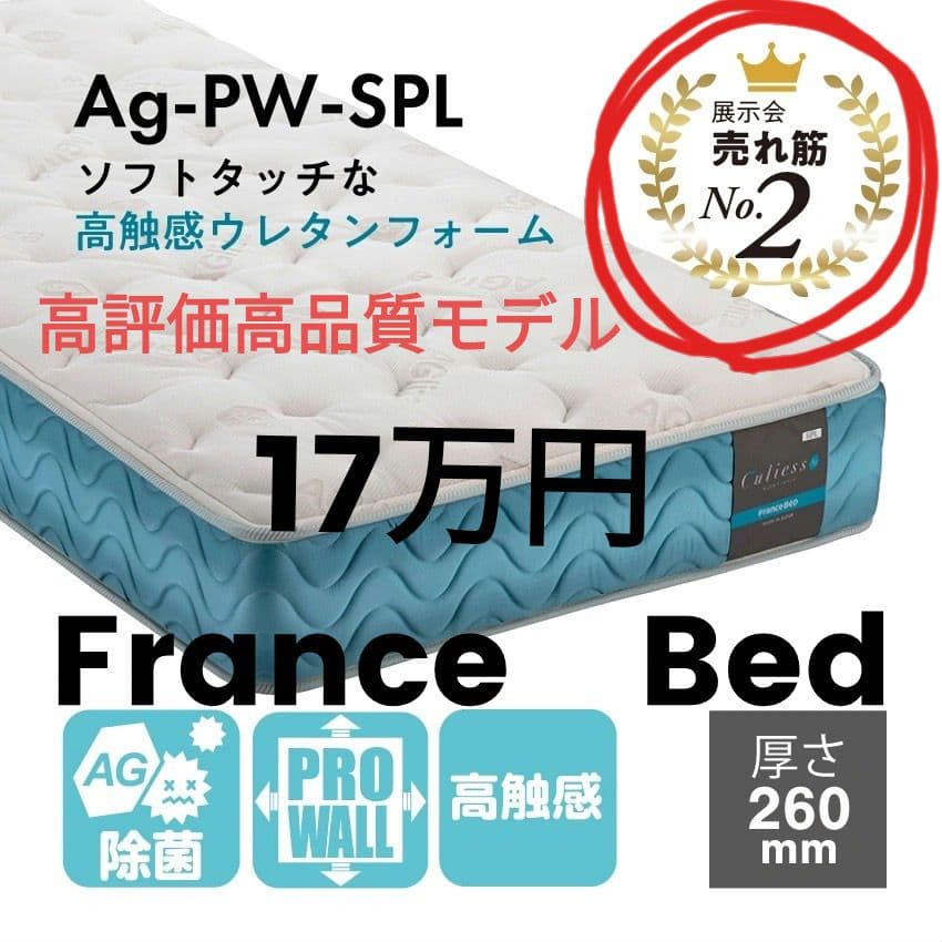 最終！元値20万　高級　フランスベッド　ダブルサイズ　キュリエス　マットレス