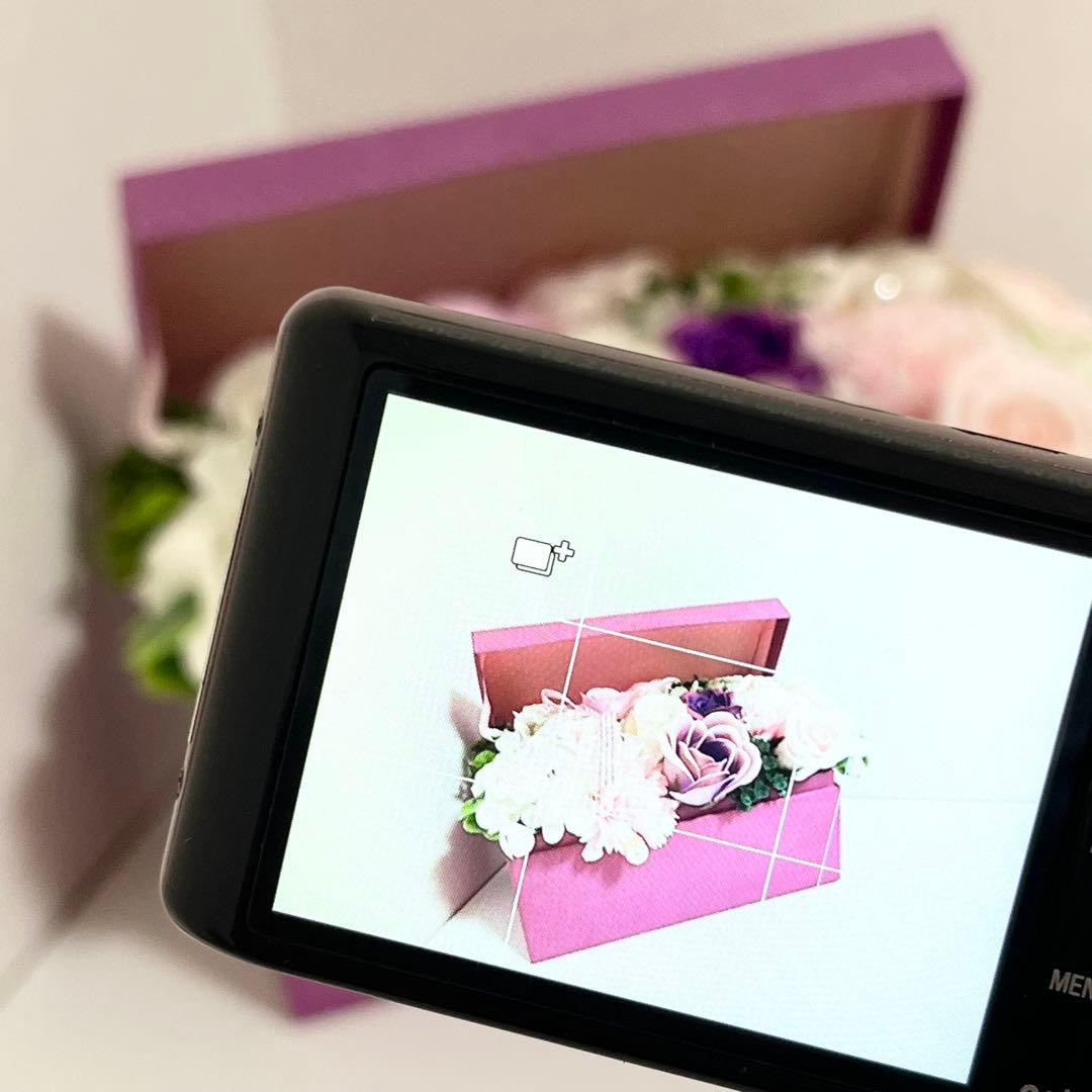 デジタルカメラ SONY cyber-shot DSC-WX100