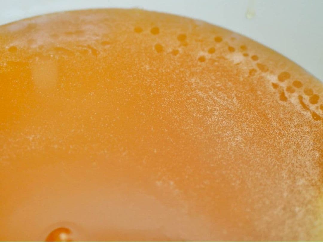 日本ミツバチ蜂蜜（600g✕2）食べ比べ