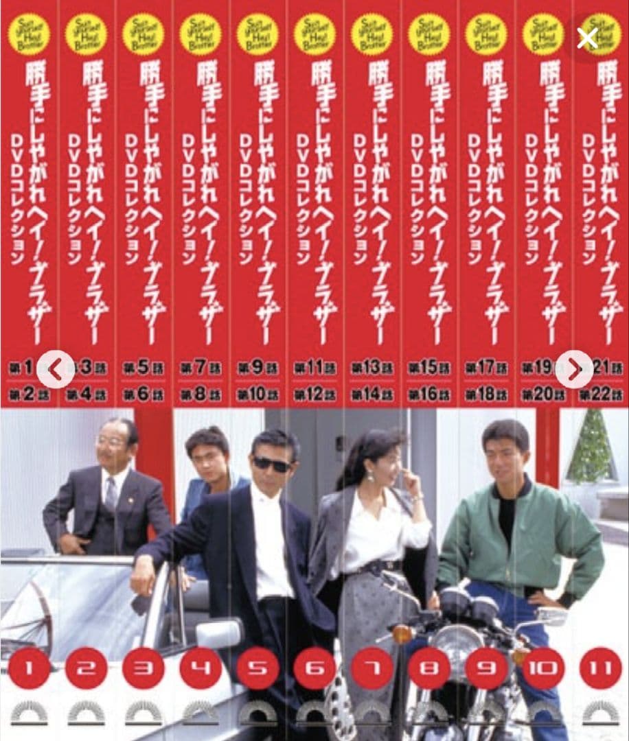 勝手にしやがれヘイ!ブラザー DVD全11巻 特製DVDラックほか 付き