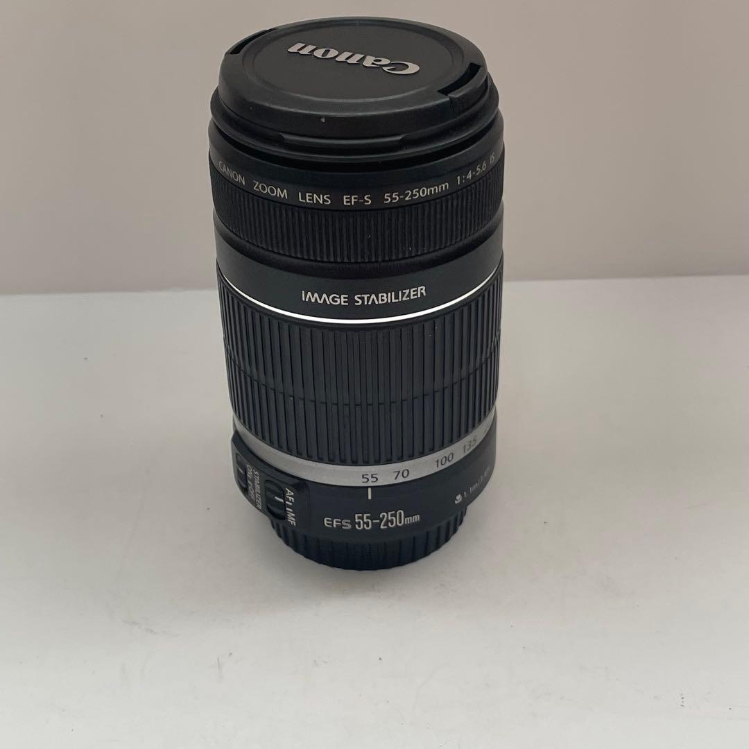 動作品 Canon EF-S 55-250mm ズームレンズ