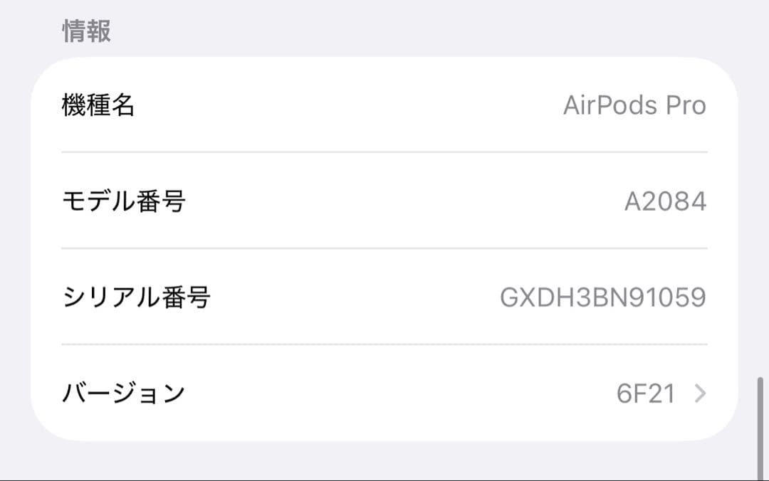 Apple AirPods Pro 本体