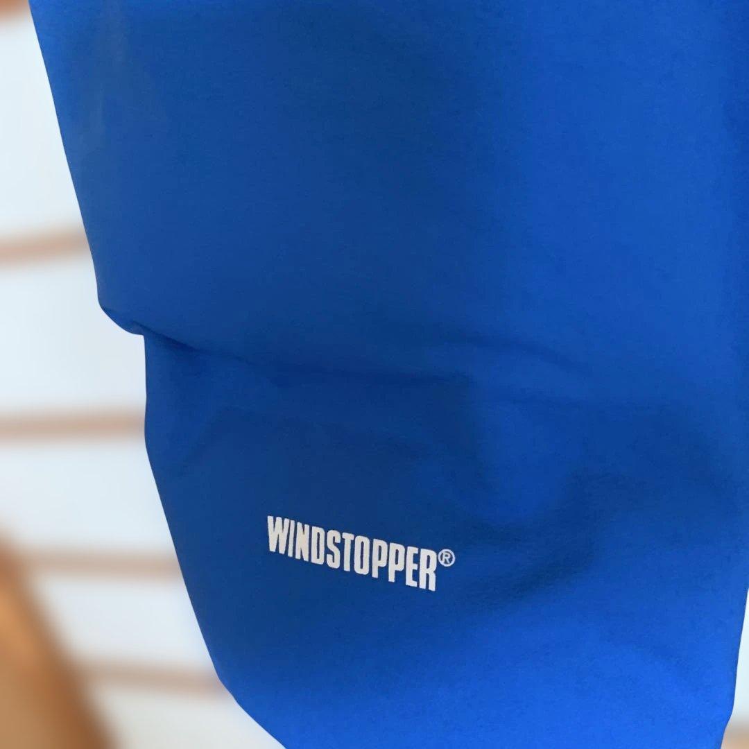 THE NORTH FACE SUMMIT ダウンジャケット 青