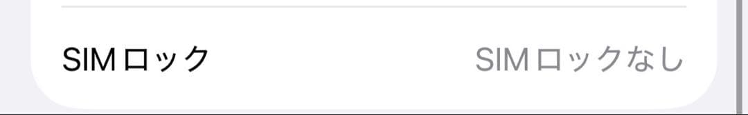 iPhone 13 256GB ブルー