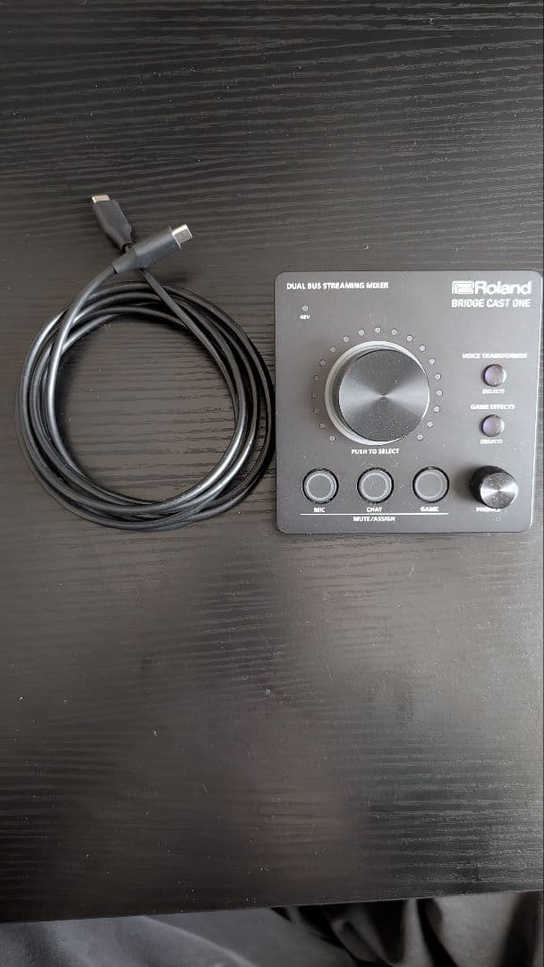 Roland BRIDGE CAST ONE オーディオインターフェイス 箱無し