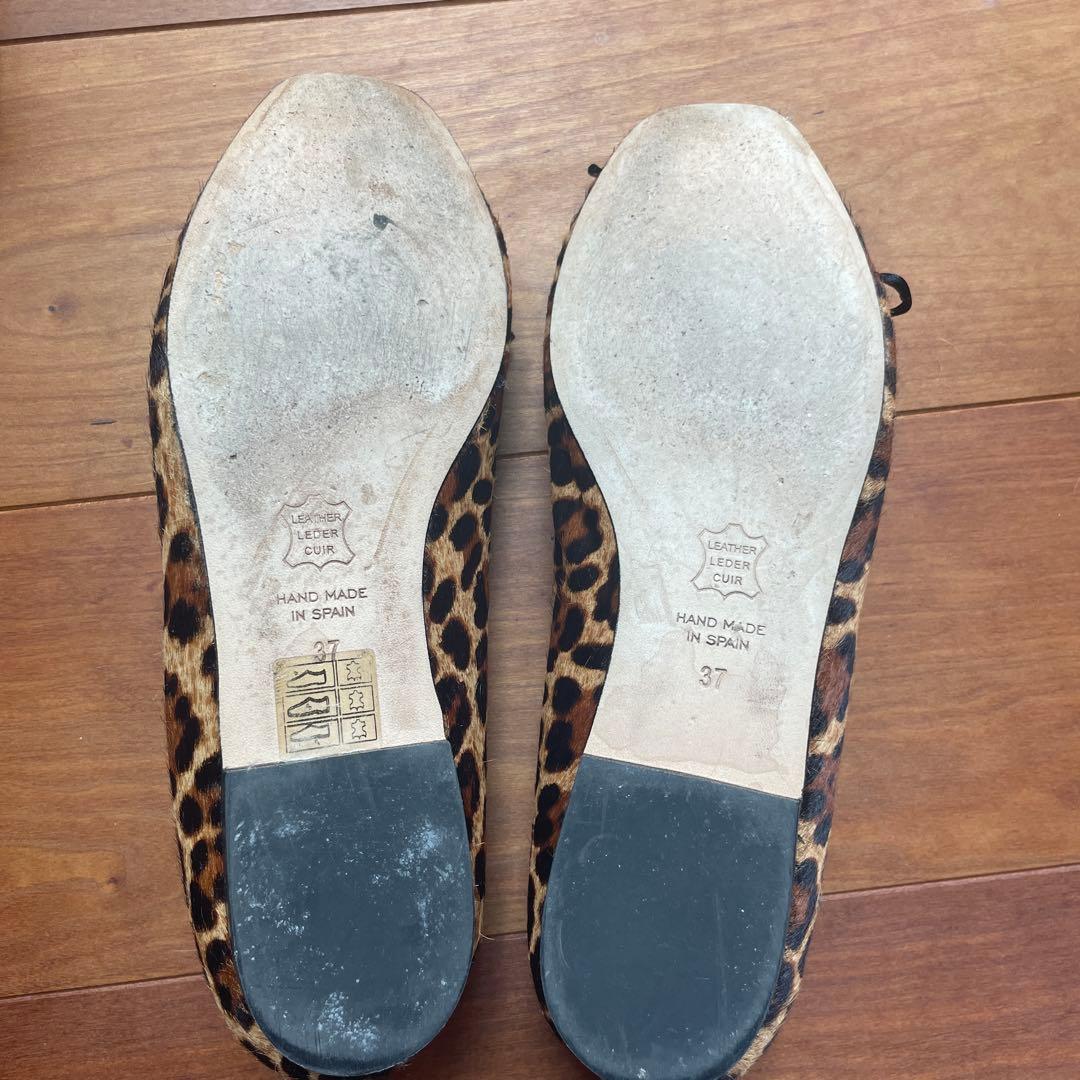 バレーシューズ