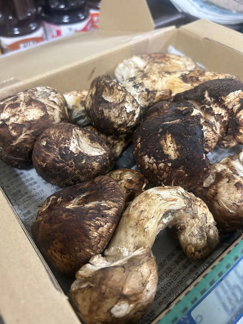 松茸　中国産　ご飯用　670g