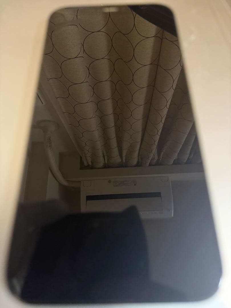 iPhone 12 Pro 本体