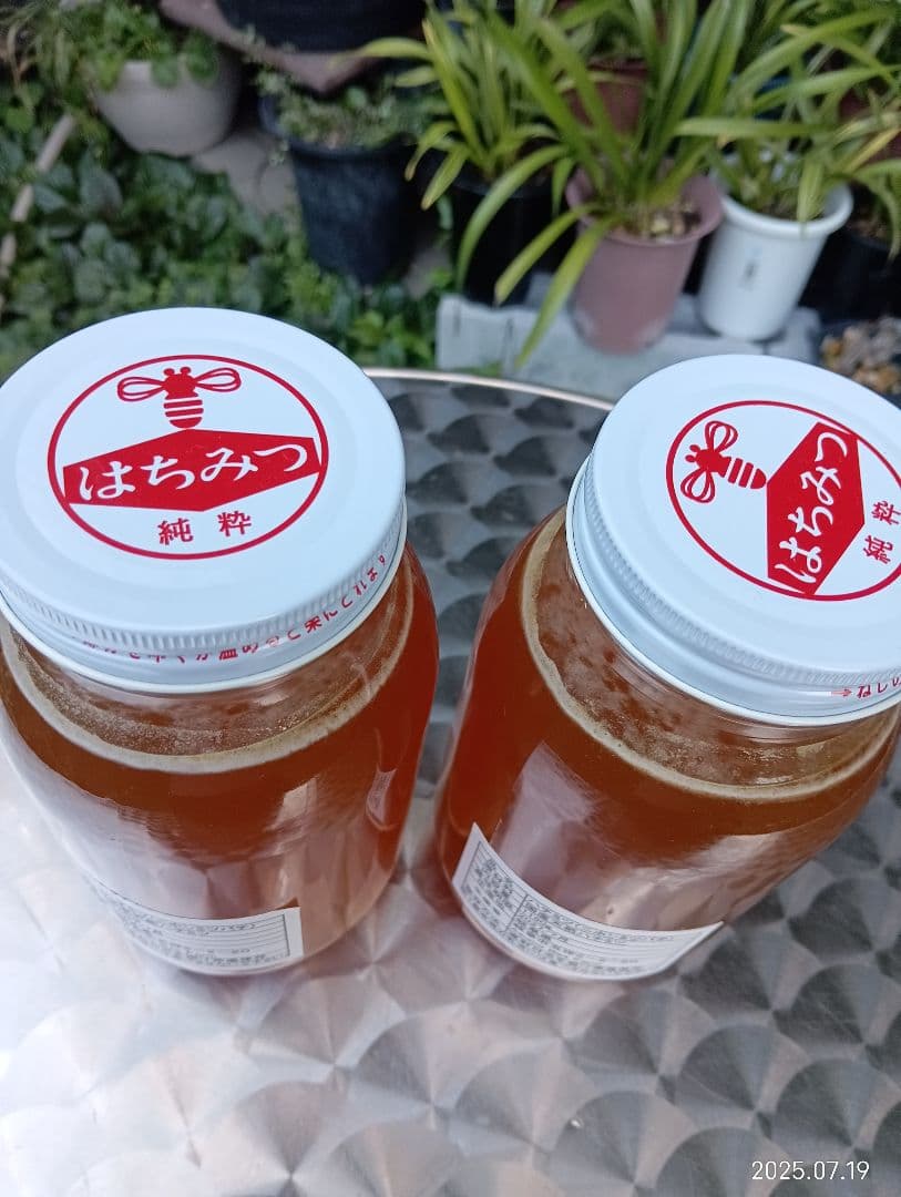 ニホンミツバチの百花蜜 国産天然ハチミツ　1180グラム 2本