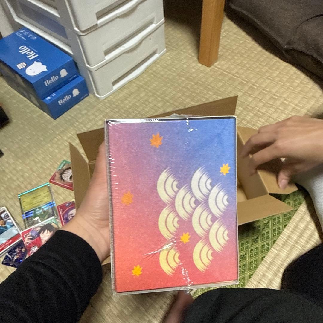 【新品未開封】シュリンク付き　ポケモンセンターヒロシマ スペシャルBOX