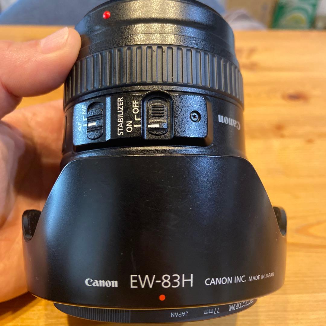 Canon EF 24-105mm f/4 レンズ