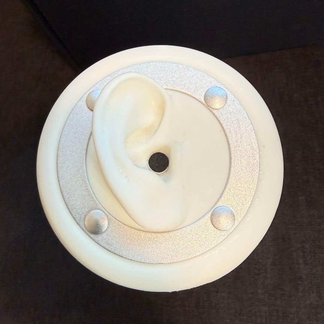 3DIO Free Space FS バイノーラルマイク ASMR おまけ付き