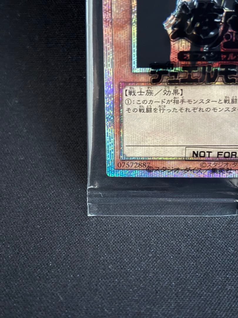 異次元の女戦士 未開封