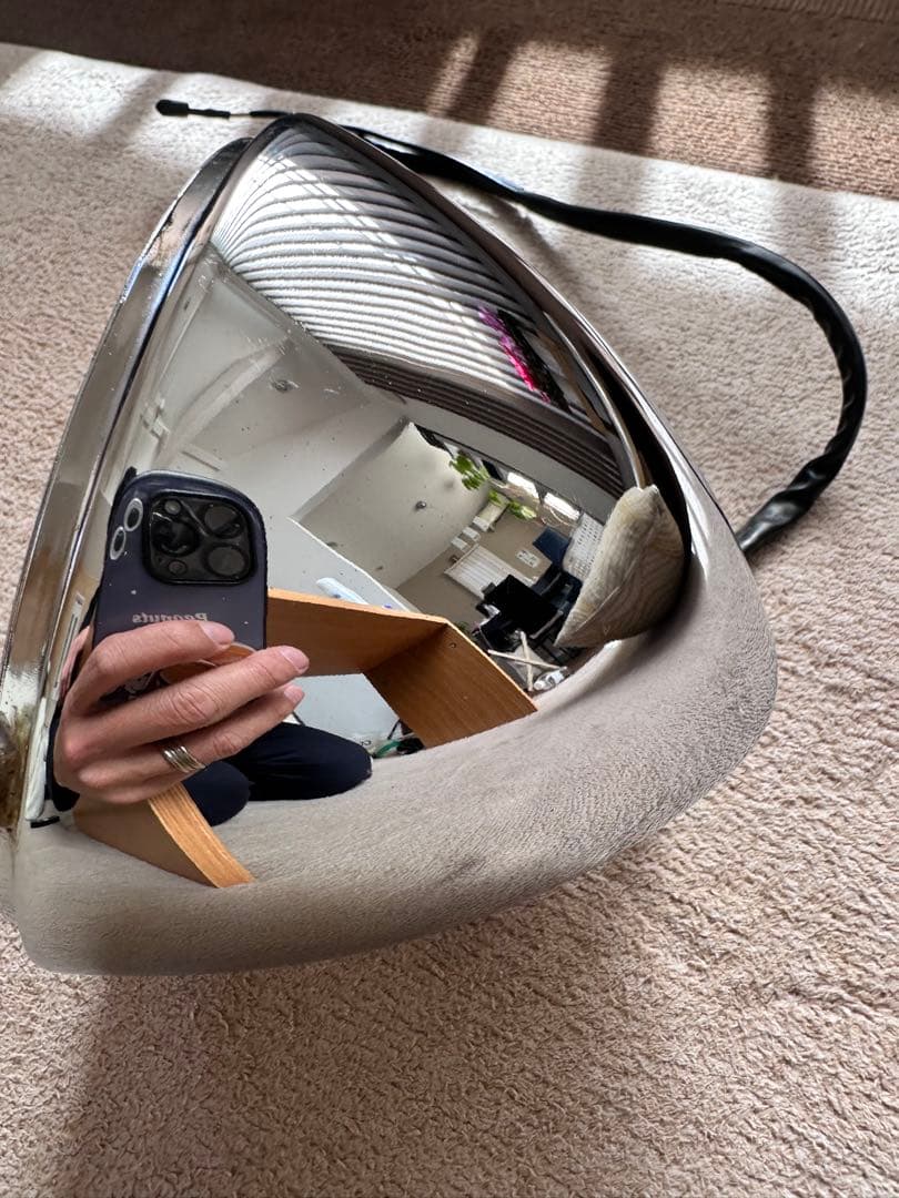 flsts ライトハウジング　今年1番綺麗な品だと思うよー笑