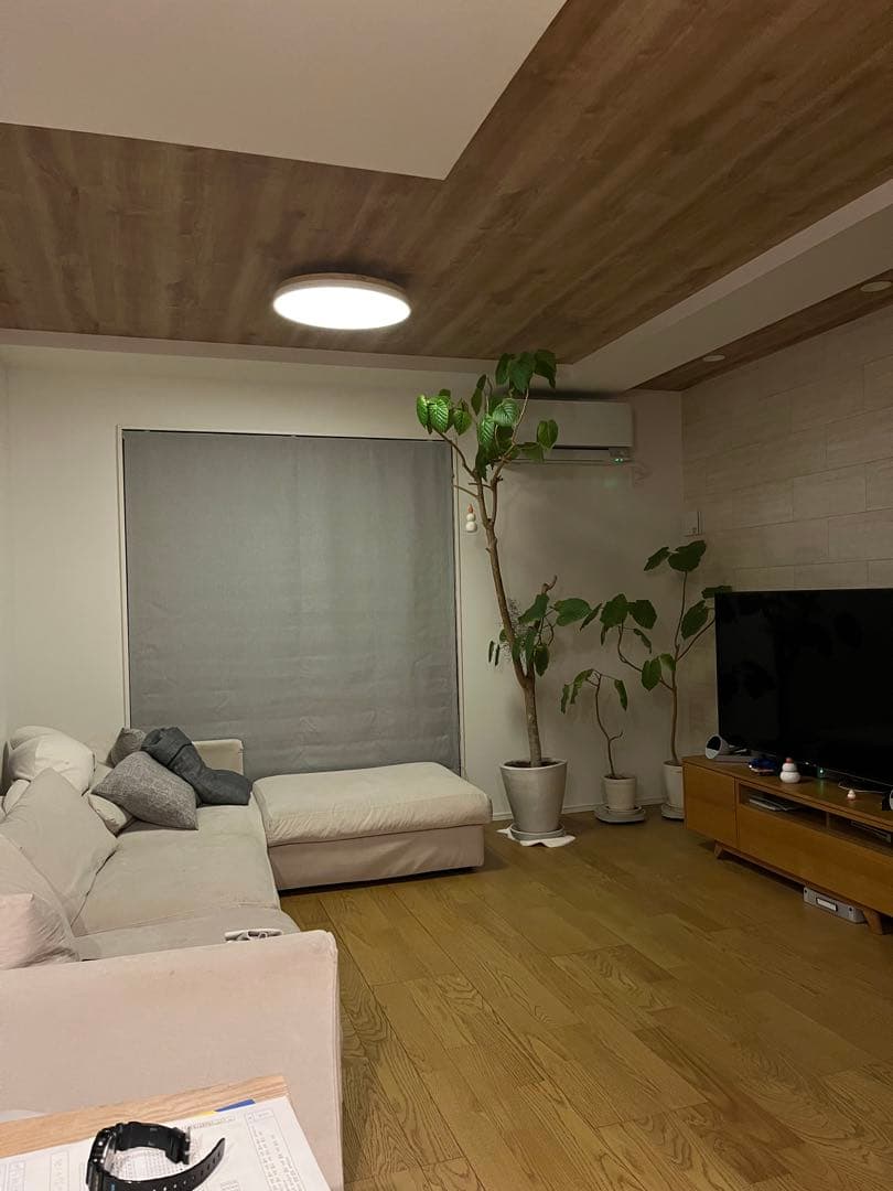 ナチュラルウッド テレビ台 仕切り付き　Sunaga