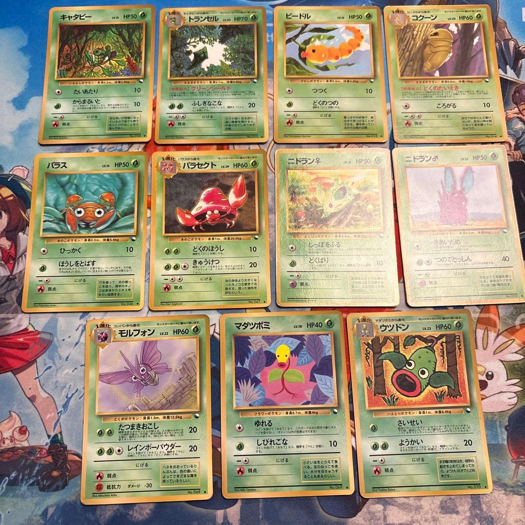 旧裏　拡張シート　草タイプ　11枚セット