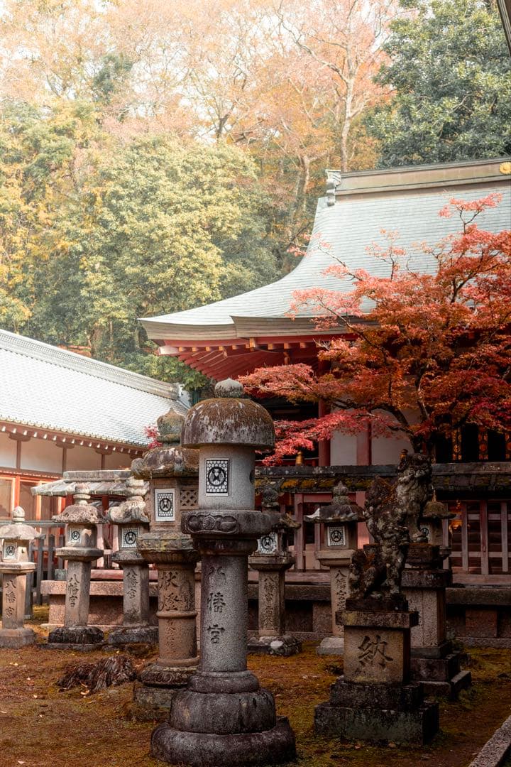 Canon EOS R ボディ　ミラーレスカメラ　美品　シャッター回数9千以下