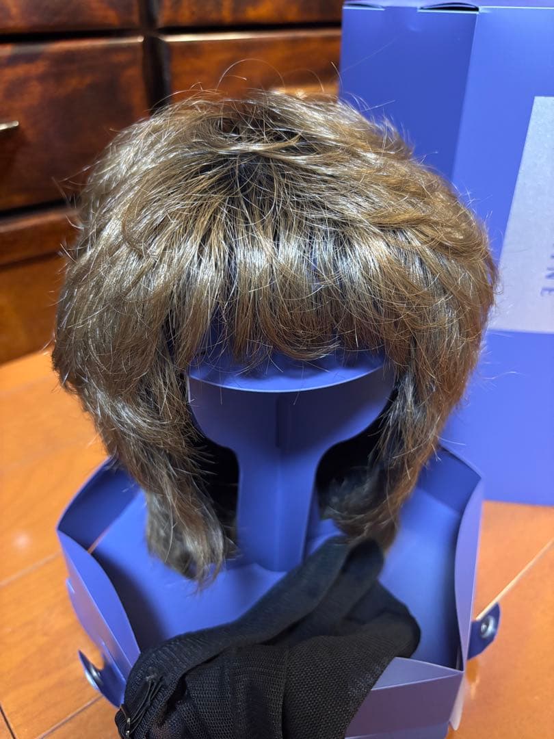 【れいこさま専用】フォンテーヌ　カツラ　ショート