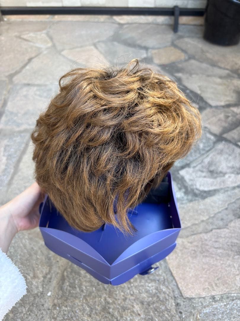 【れいこさま専用】フォンテーヌ　カツラ　ショート