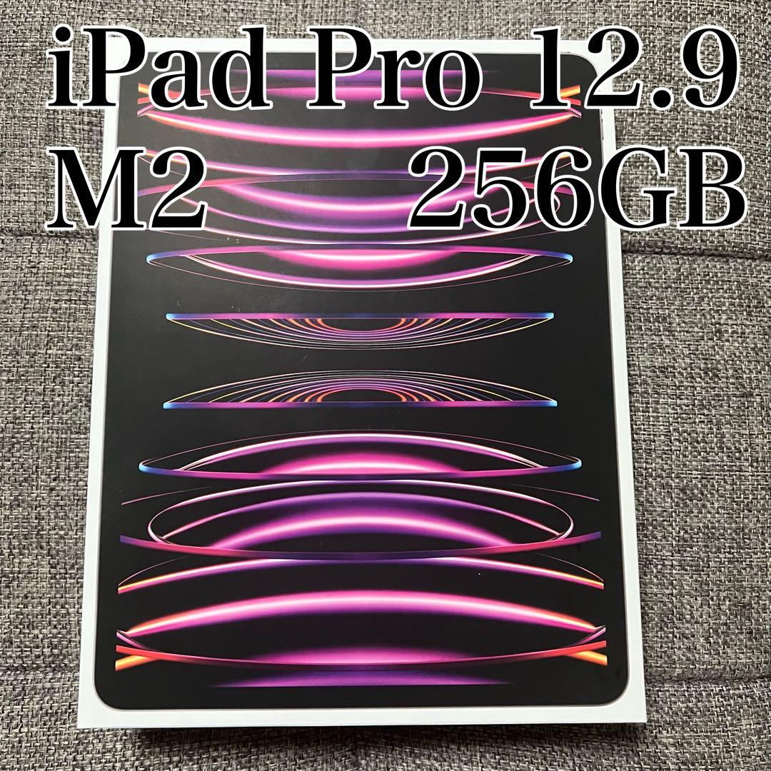 【訳あり】iPad Pro 12.9 第6世代 256GB スペースグレー