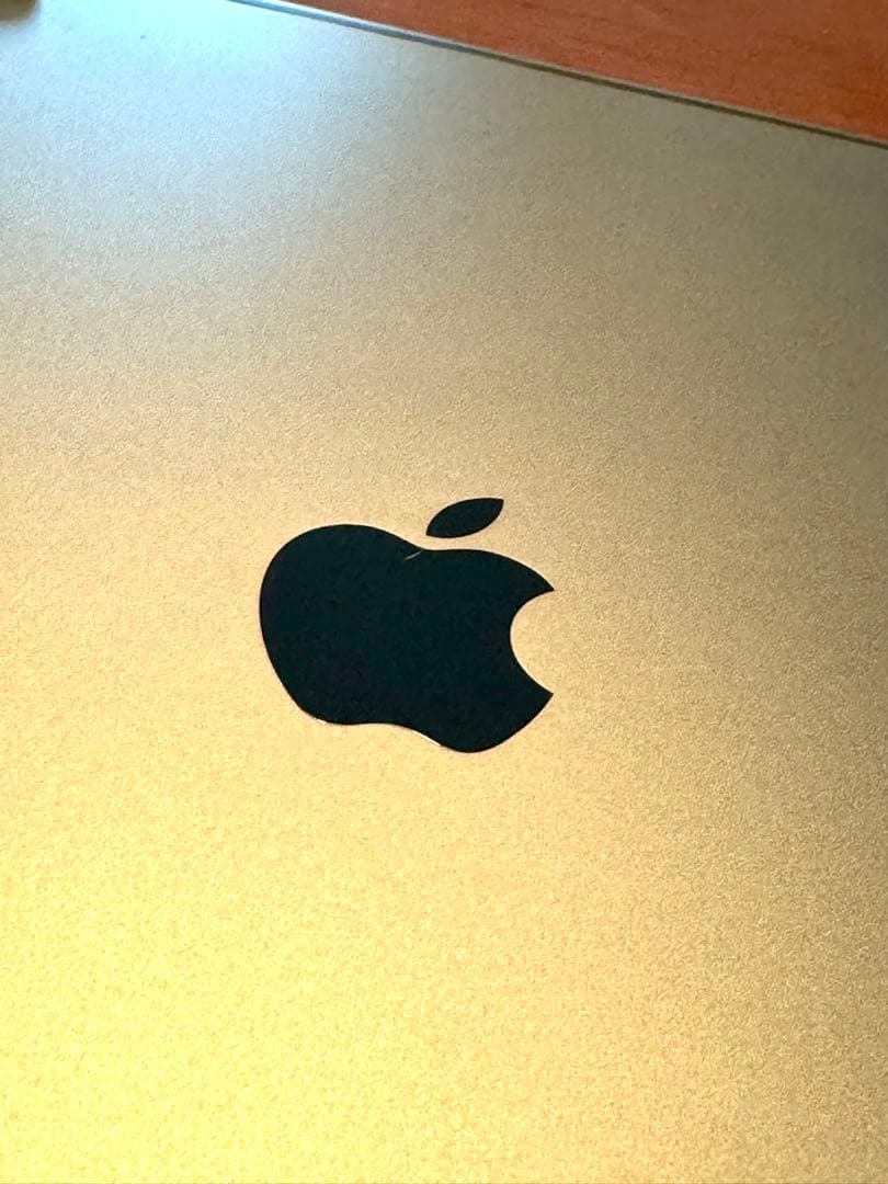 [美品] iPad Pro 11インチ Wi-Fi 64GB スペースグレイ