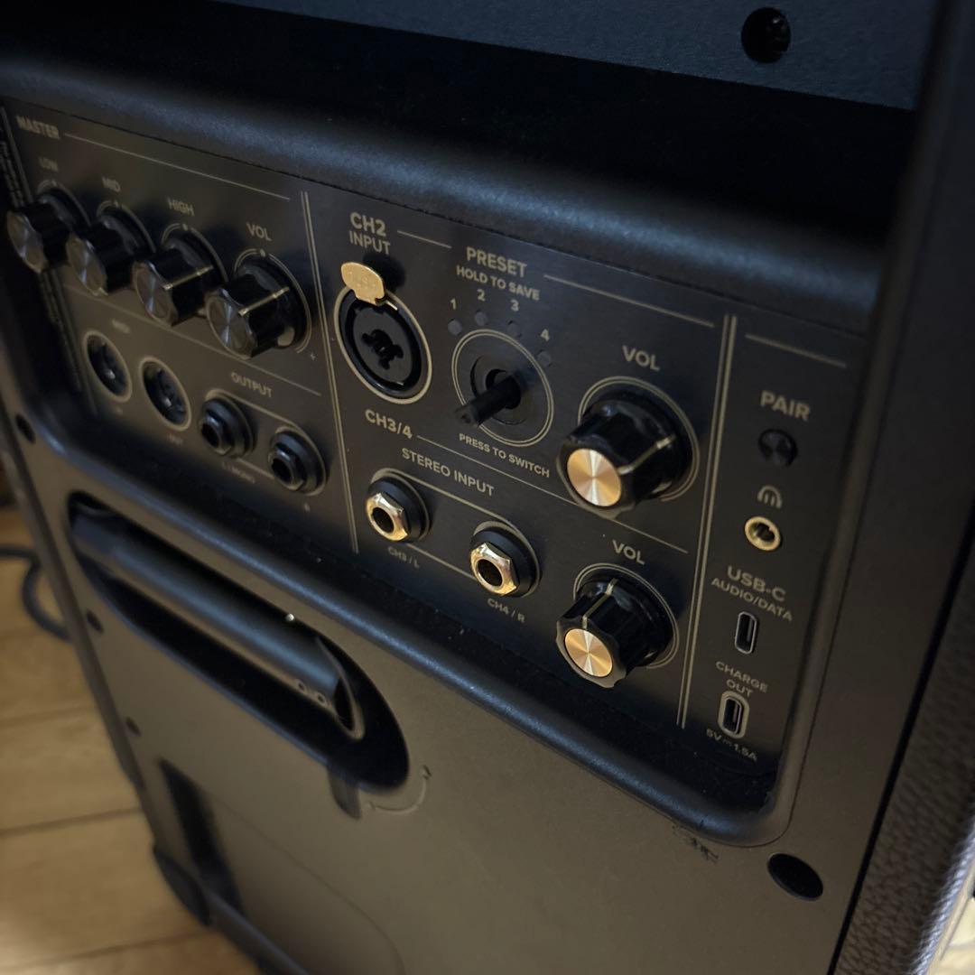 ポジティブグリッドspark Live