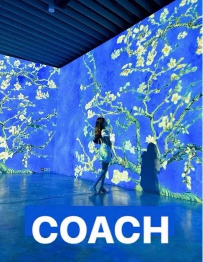 COACH長財布レインボーマルチカラーシグネチャーストラップ付.男女兼用.新品