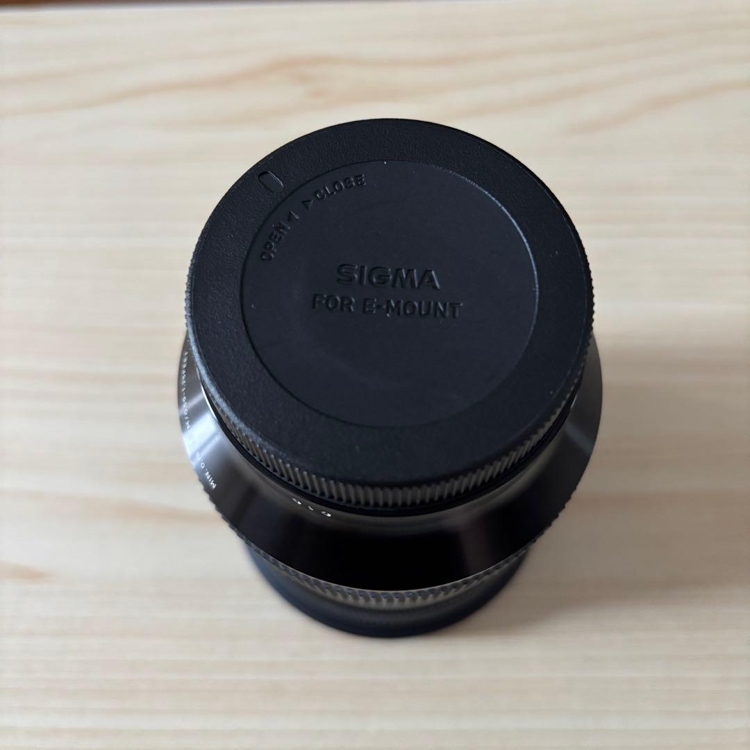 SIGMA 24-70mm F2.8 DG DN [ソニーE用]