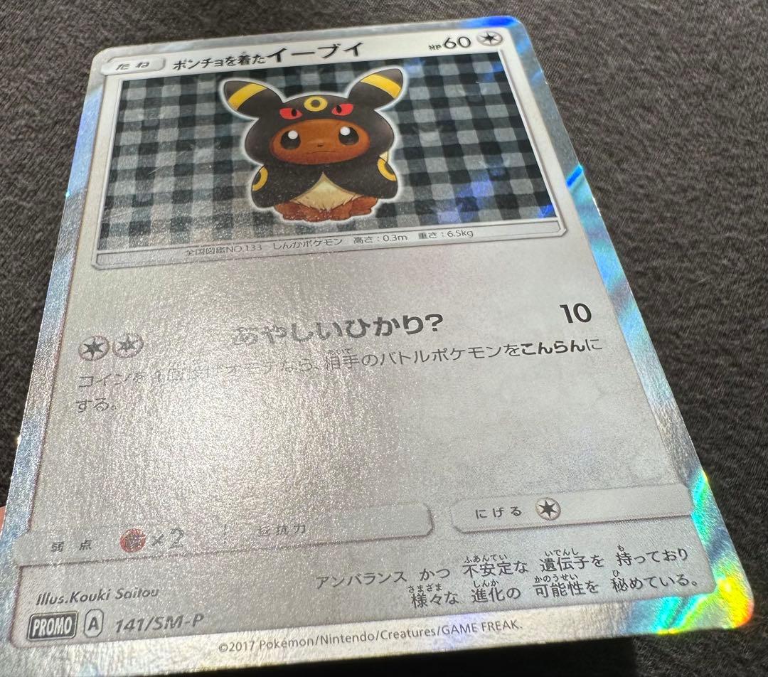 ポンチョを着たイーブイ (ブラッキー)