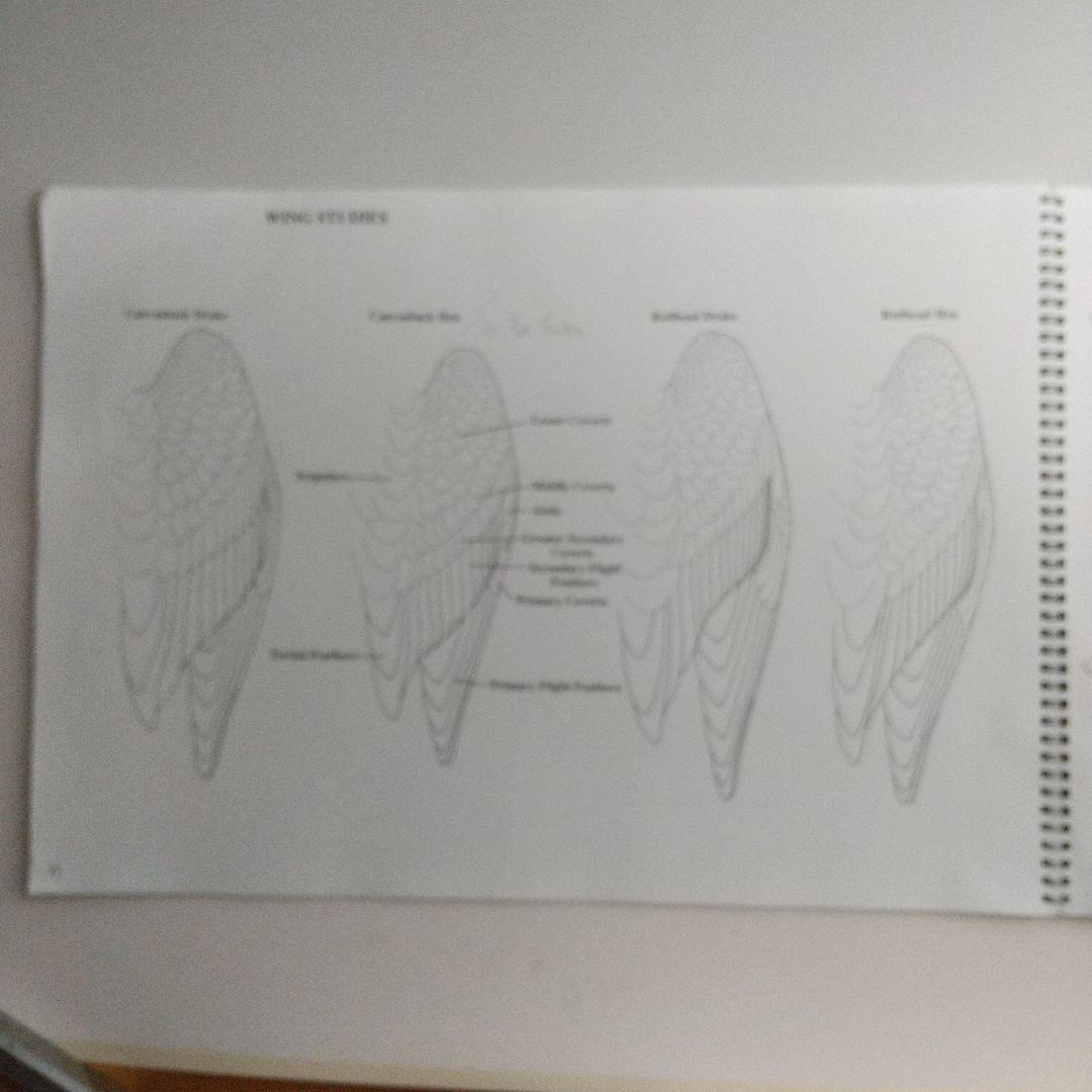 バードカービング教本２冊 パトリック ゴディンのカモとロニーダイのハヤブサ