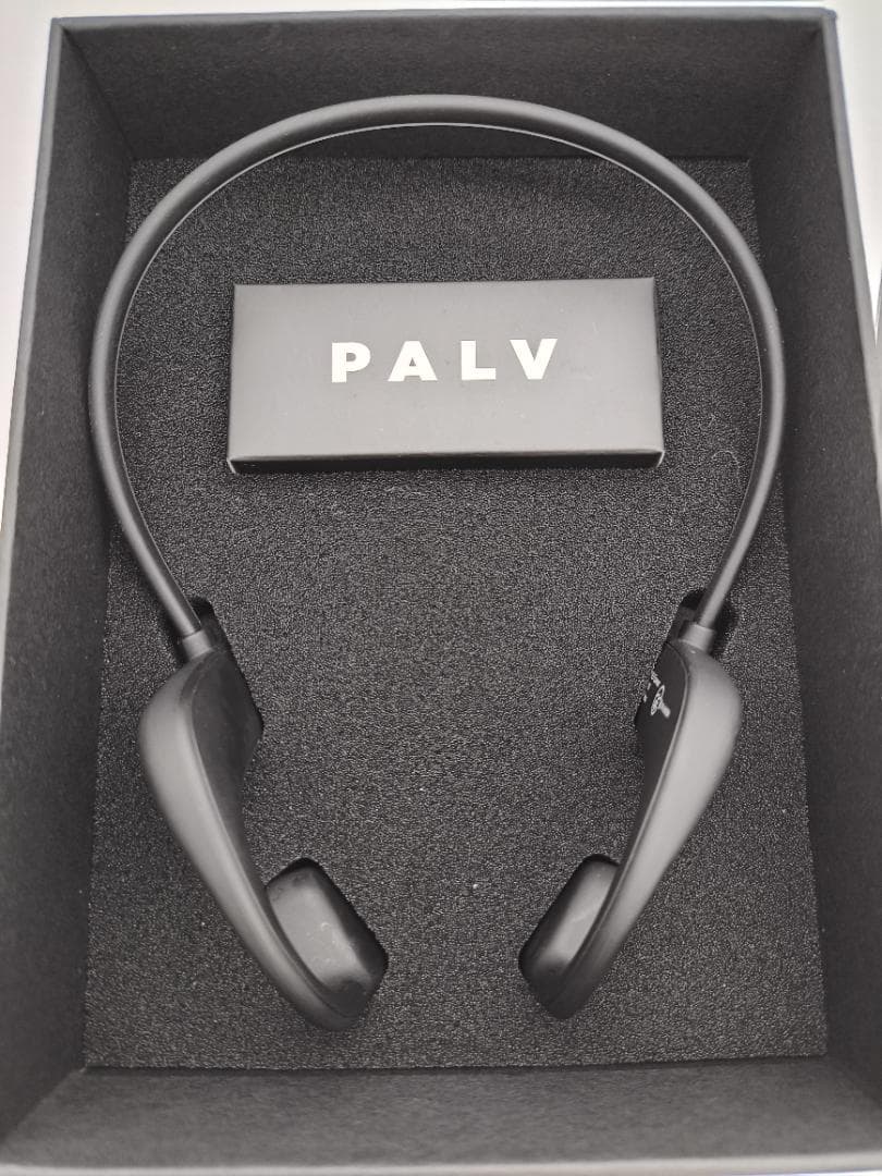 PALV 骨伝導イヤホン ブラック 専用ハードケース付き