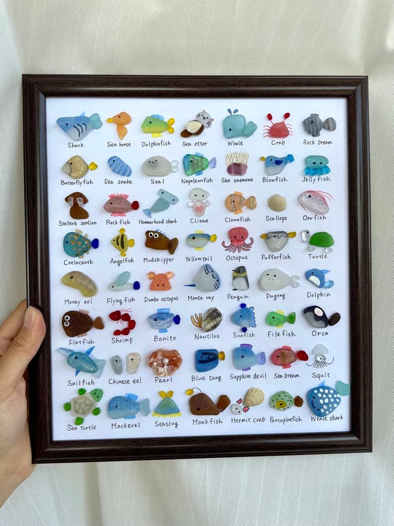 TGIF　No.388 海の生き物大図鑑　ギフト　プレゼント インテリア