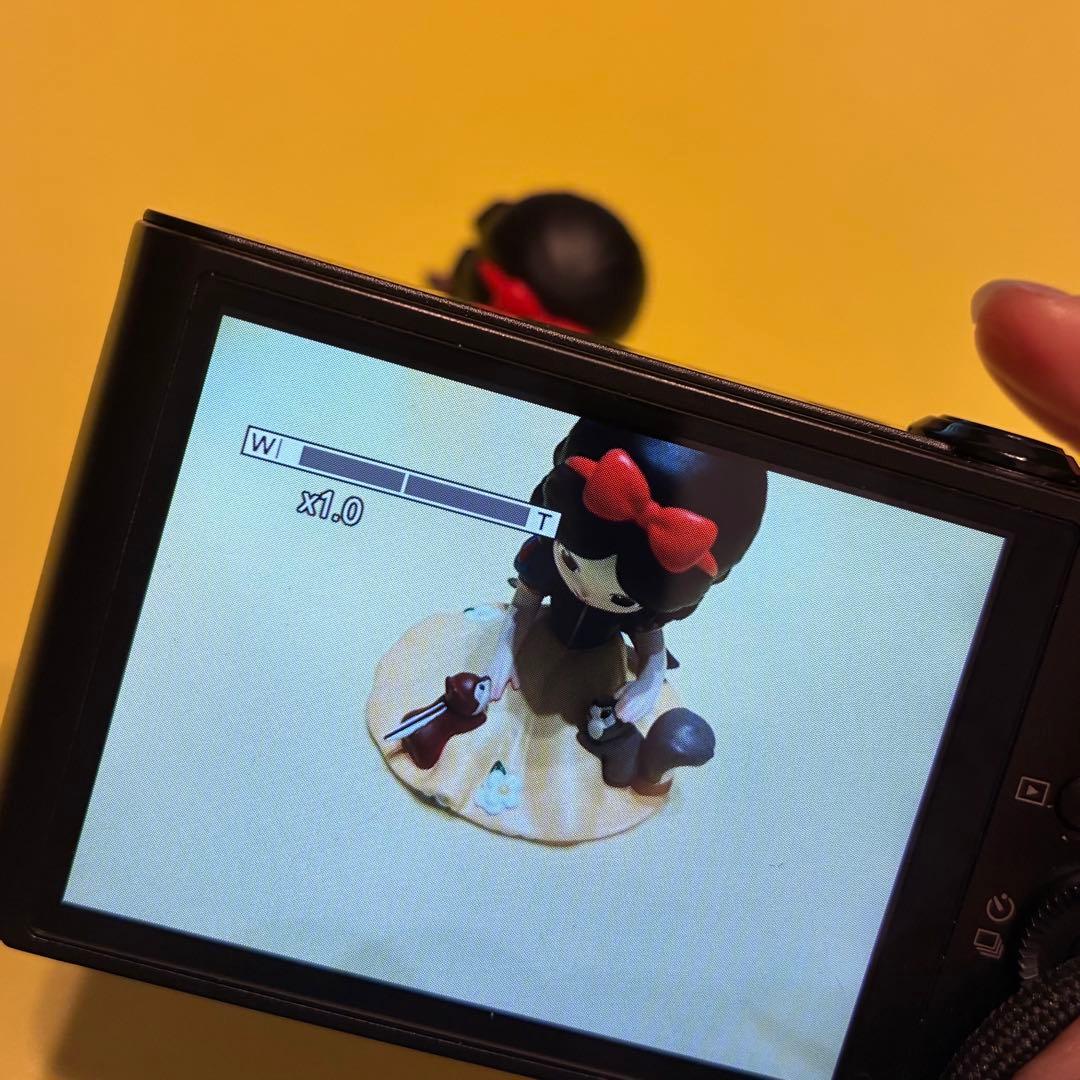 ⭐︎ハナさま専用 SONY Cyber-shot DSC-WX300