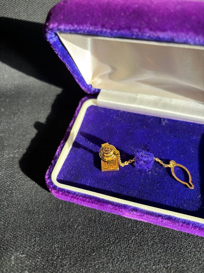 K18 ピンズ　ゴールド　USA