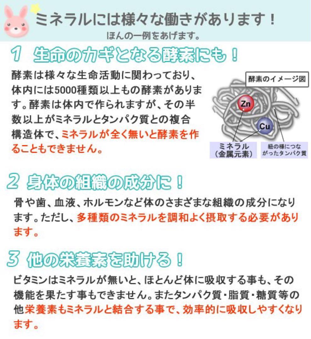 【添加物対策】楽天売上1位⭐︎希望の命水　1ℓ×2本セット