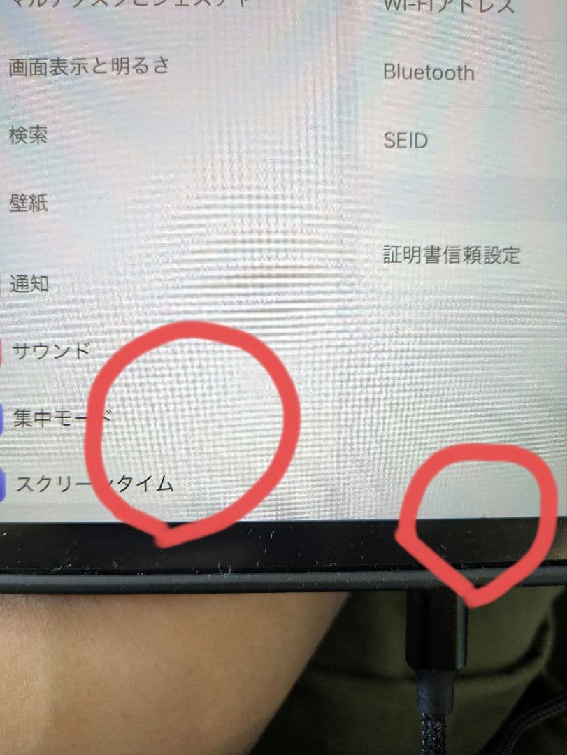 iPad本体 Apple iPad Pro 11