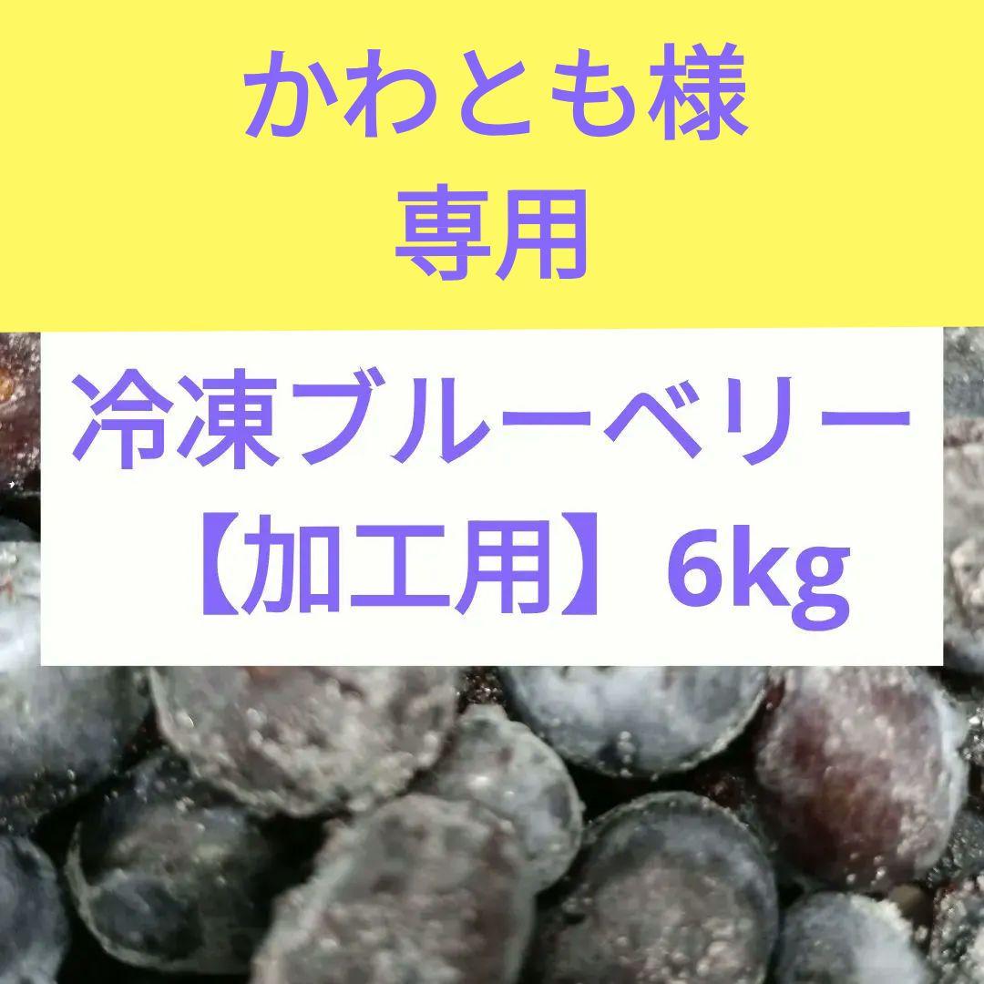 冷凍ブルーベリー 　　　　　　　　　　　【加工用】6kg