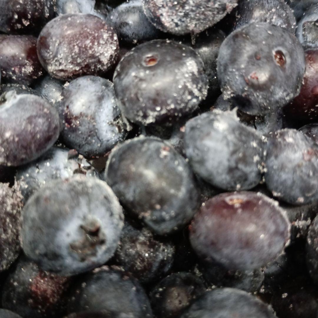 冷凍ブルーベリー 　　　　　　　　　　　【加工用】6kg