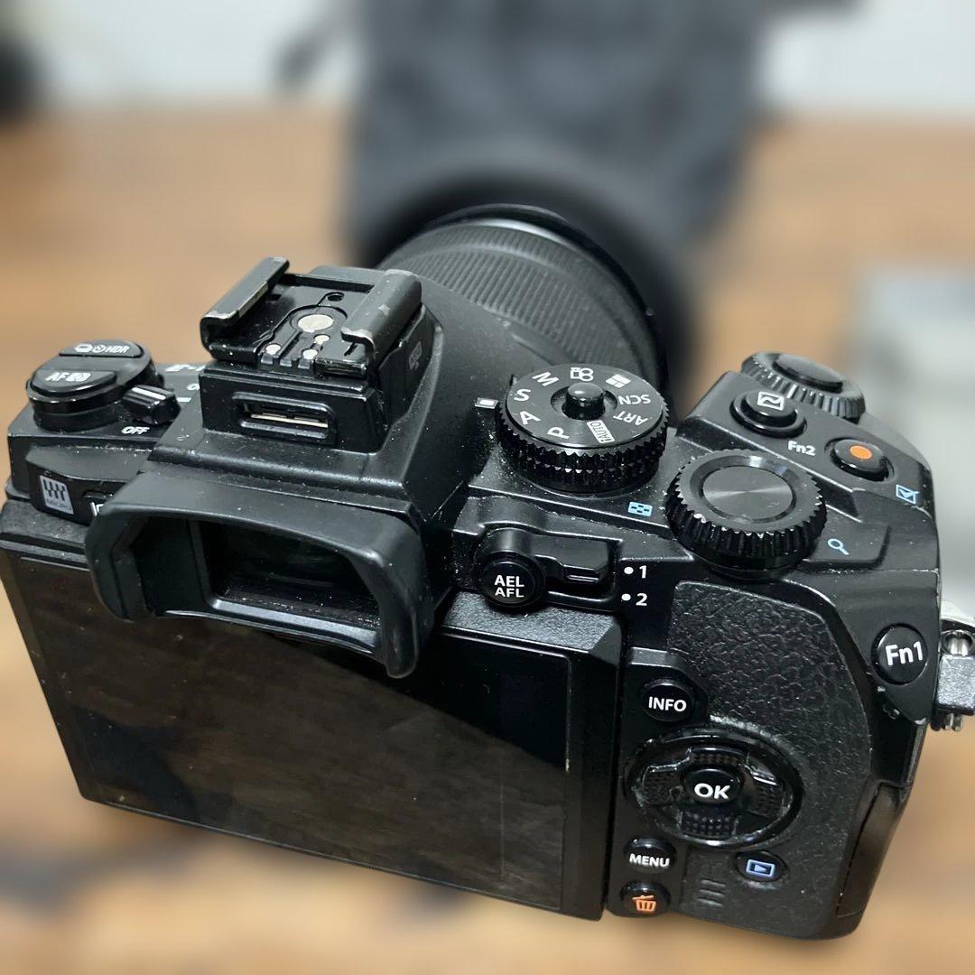 OLYMPUS OM-D E-M1 レンズ　LUMIX 12-60mm