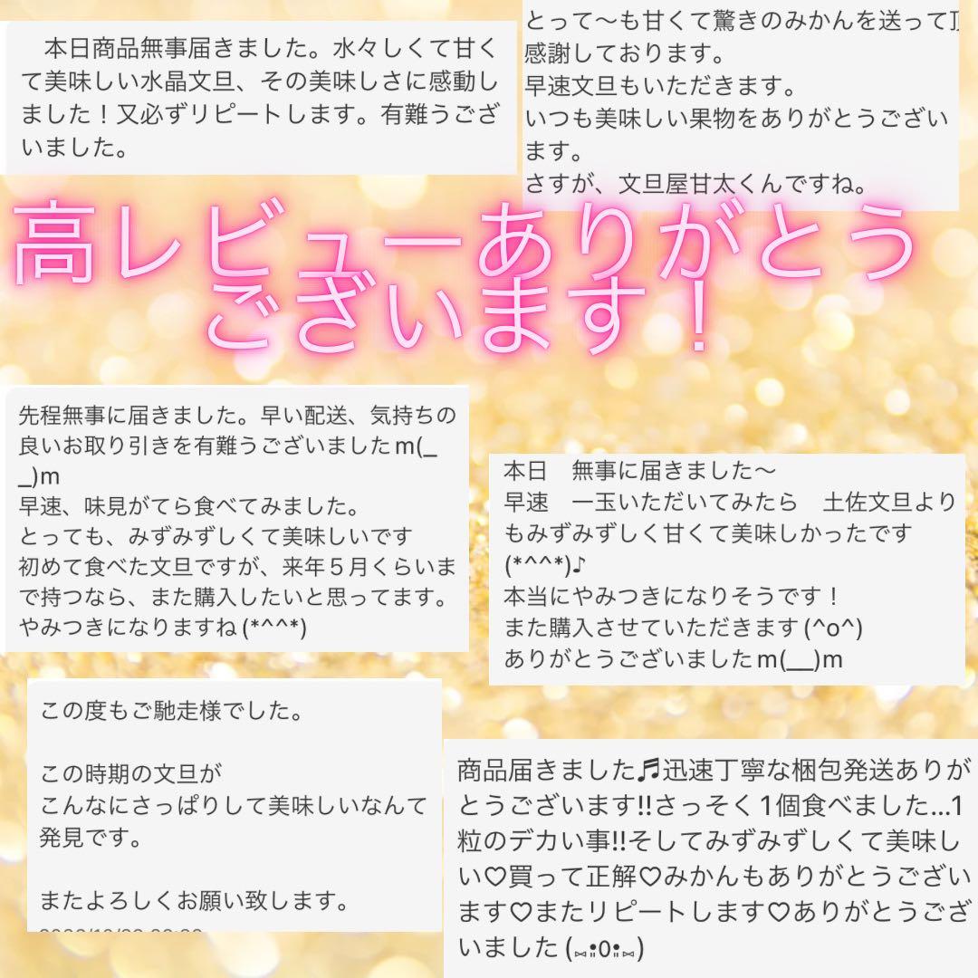 文旦　水晶文旦　柑橘　　10
