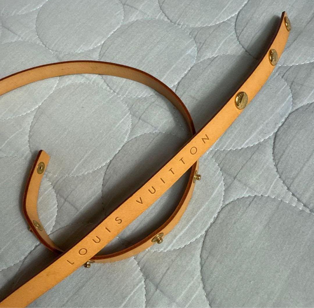 Louis Vuitton ポシェットフロランティーヌモノグラムボディバッグ