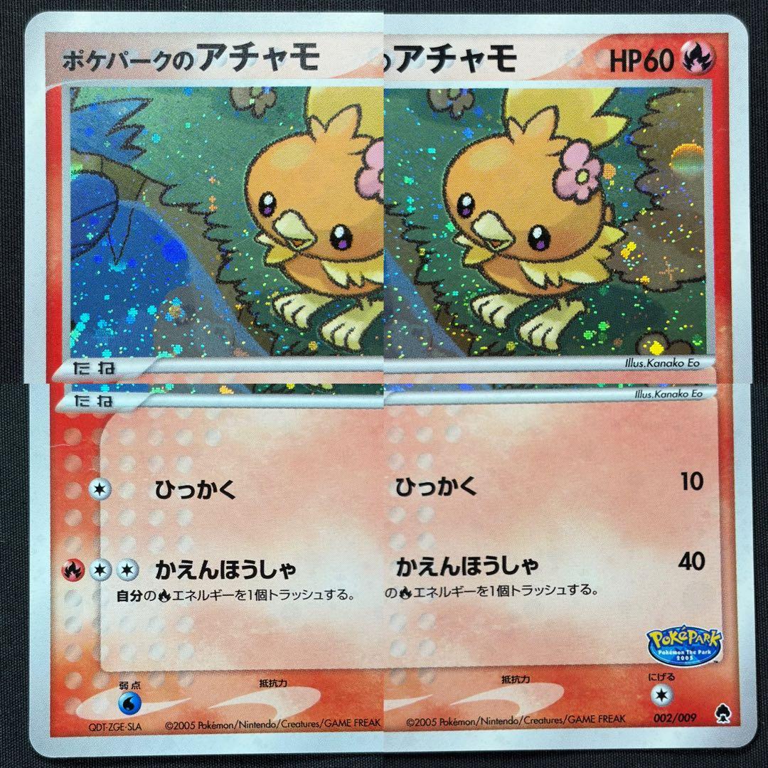 【希少ポケパーク限定】ポケモンカードゲーム フォレストシート プレミアムファイル