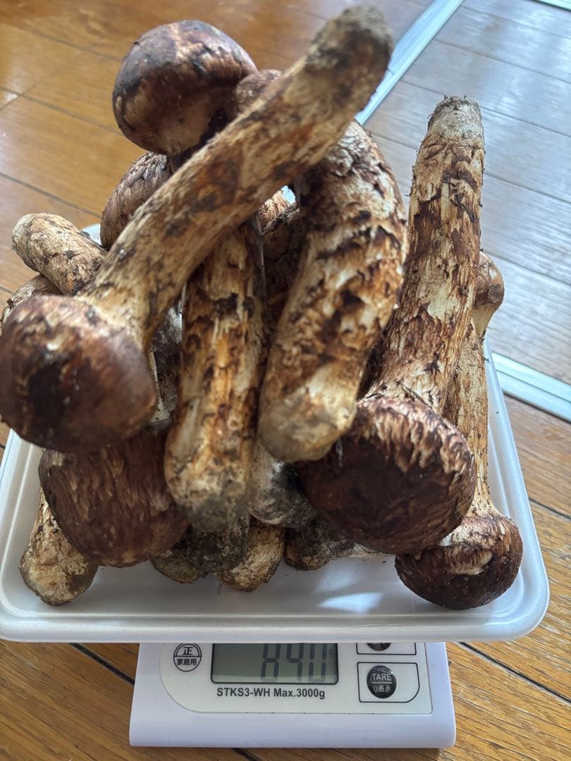 【ミィ】青森県産　松茸　マツタケ　1.8kg
