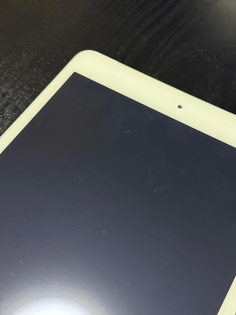 iPad mini（第1世代）セルラー docomo 16GB ケース付き