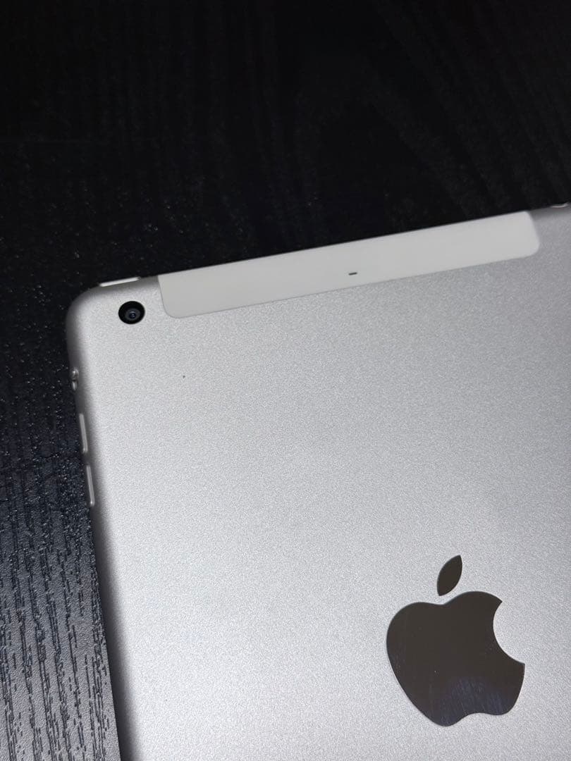 iPad mini（第1世代）セルラー docomo 16GB ケース付き